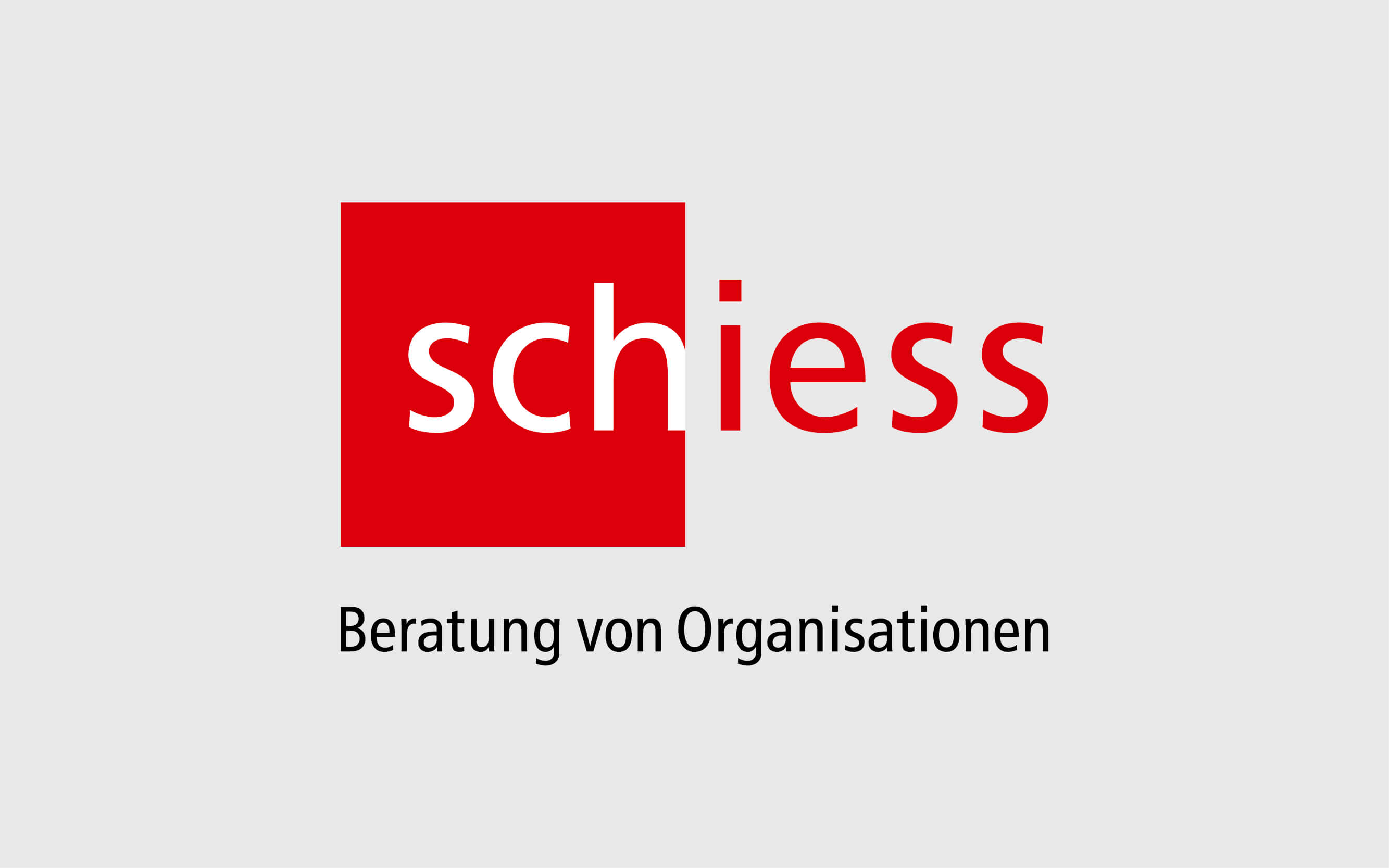 Neupositionierung des Beratungsunternehmens Schiess AG