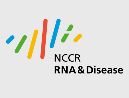 consign erarbeitet für NCCR ein Logo als zentrales Key Visual