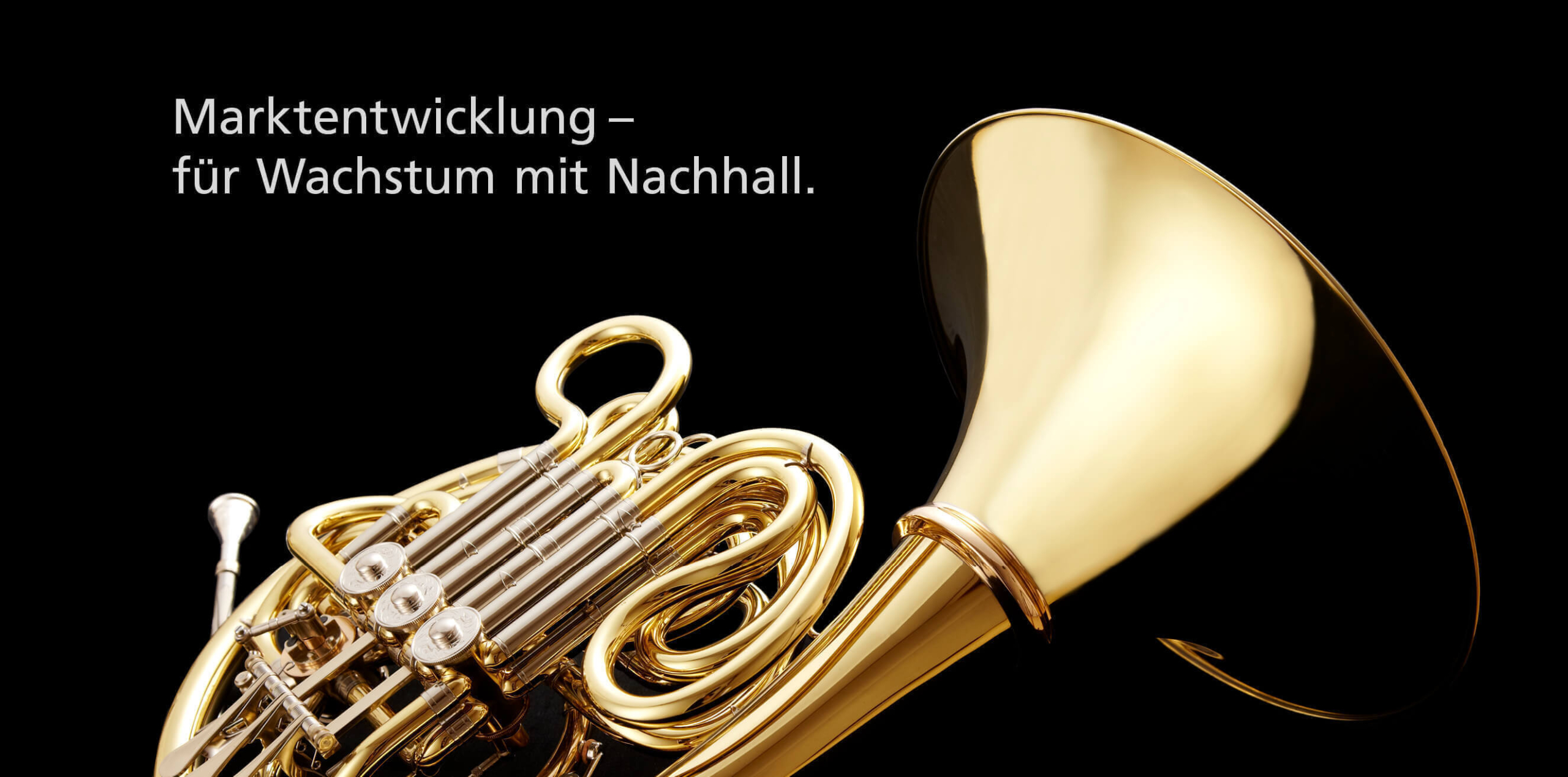 Geschäftsfeldentwicklung Business Development Wachstumsstrategie Megatrends Innovation Geschäftsmodell Anorganisches Wachstum Strategische Frühaufklärung