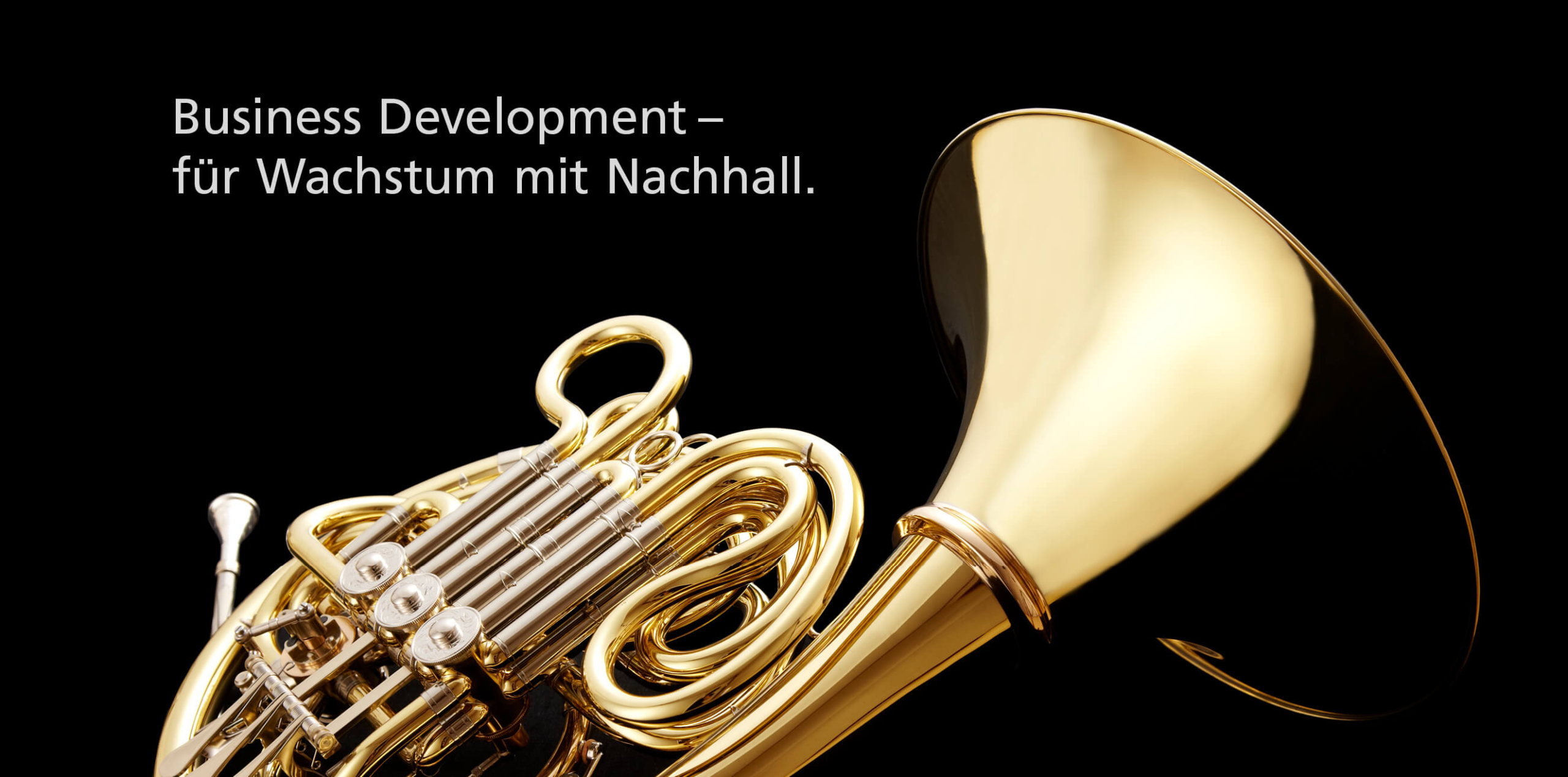 Herobild zu Business Development mit Waldhorn und Headline: Business Development – für Wachstum mit Nachhall.