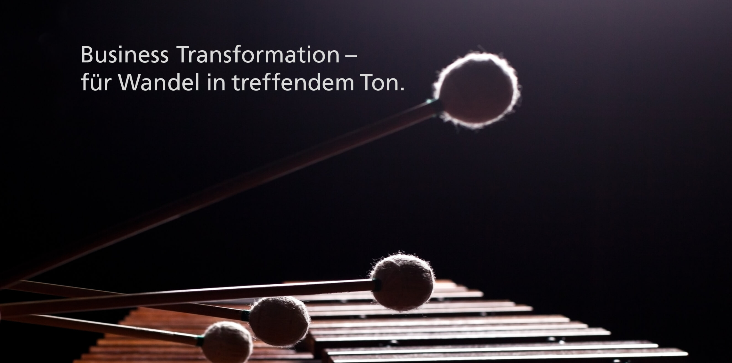 Herobild zu Business Transformation mit Marimba und Headline: Business Transformation – für Wandel in treffendem Ton.